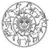 Animaux